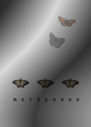 mariposas.jpg (10495 bytes)